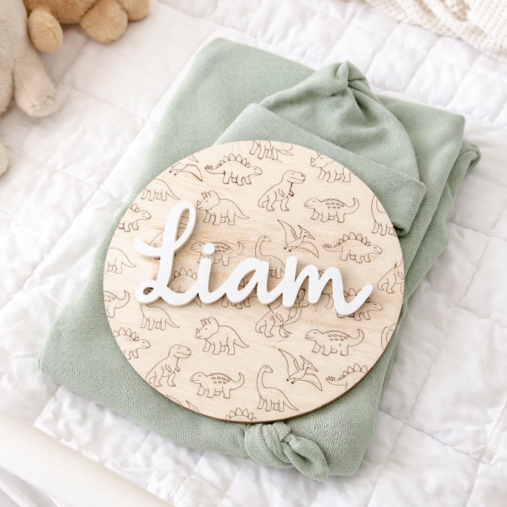 Dinosaur Personalized Baby Birth Name Sign