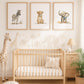 Safari Jungle Set of 3