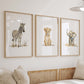 Safari Jungle Set of 3