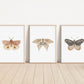 Set of 3 Butterfly Nursery Art Prints