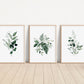 Set of 3 Botanical Greenery Art Prints, Watercolor Foliage, Home Decor, Bedroom Art, Living Room Decor, Sage Green