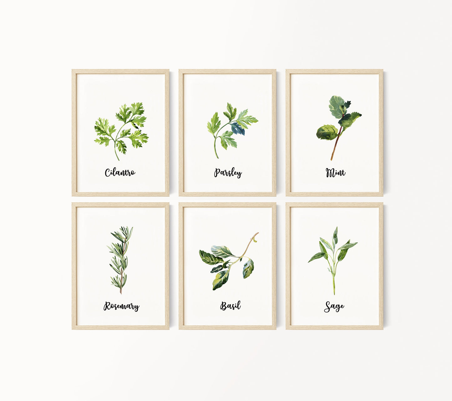 Set of 6 Kitchen Art Prints, Herb Prints, Kitchen Printables, Watercolor Herb Set Wall Signs, Oregano Sage Rosemary Basil Mint, Parsley, 091