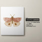 Set of 3 Butterfly Nursery Art Prints