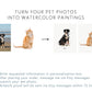 Custom Watercolor Cat Portrait, Pet Memorial, Cat Loss Gift, Cat Lover Gift, Pet Painting