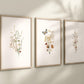 Set of 3 Boho Butterfly and Wildflowers Floral Art Prints