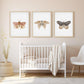 Set of 3 Butterfly Nursery Art Prints