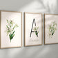 Personalized Set of White Lily Flower Art Prints, Wall Art, Bloom Bouquet, Nursery Decor, Play Room, Baby Room Ideas