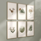 Boho Sage Art Prints